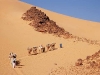 travcaravan