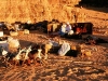 travglowcampsite