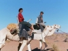 travkzcamels